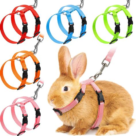 bunny harness|More.